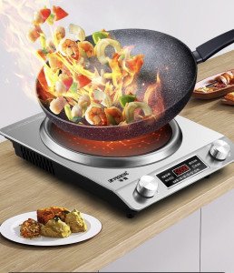 Semi spherical Induction cooker