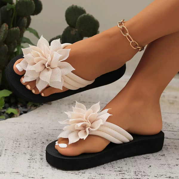 2288CA-RD,228CA-WHT,228CA-OGRN,228CA-GRN,228CA-APRCT,228CABLE,228CAT,228CA-PNK,228CA-RR,228CA-BRWN-40-OffWhite