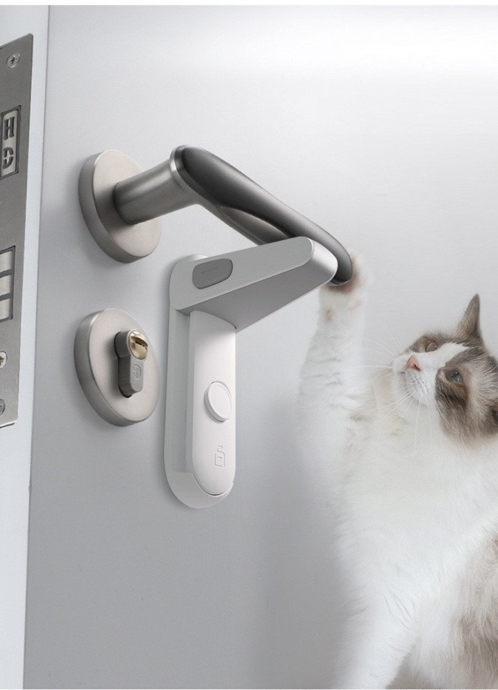 Safety Locks
